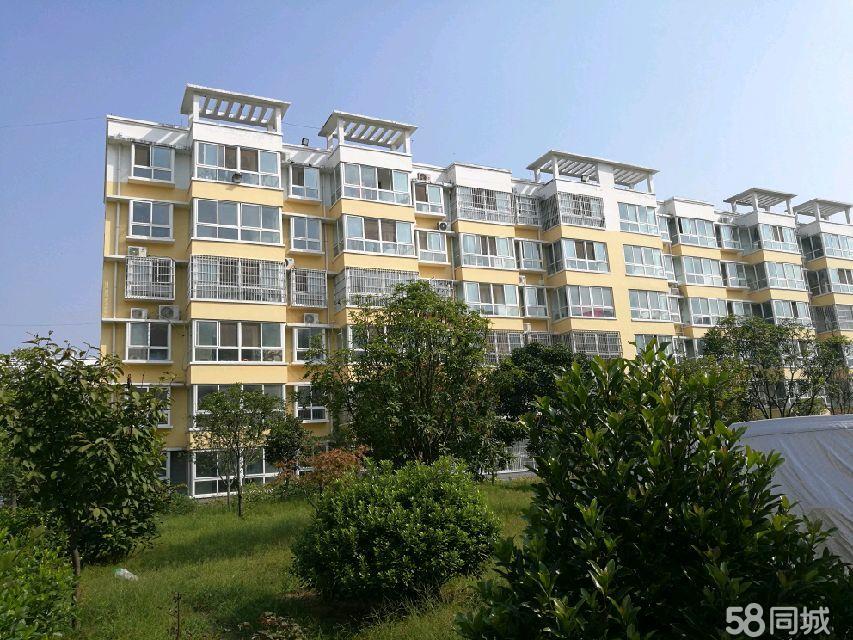 上蔡龙兴社区最新房价，背景、动态与地位全面解析的房价报告