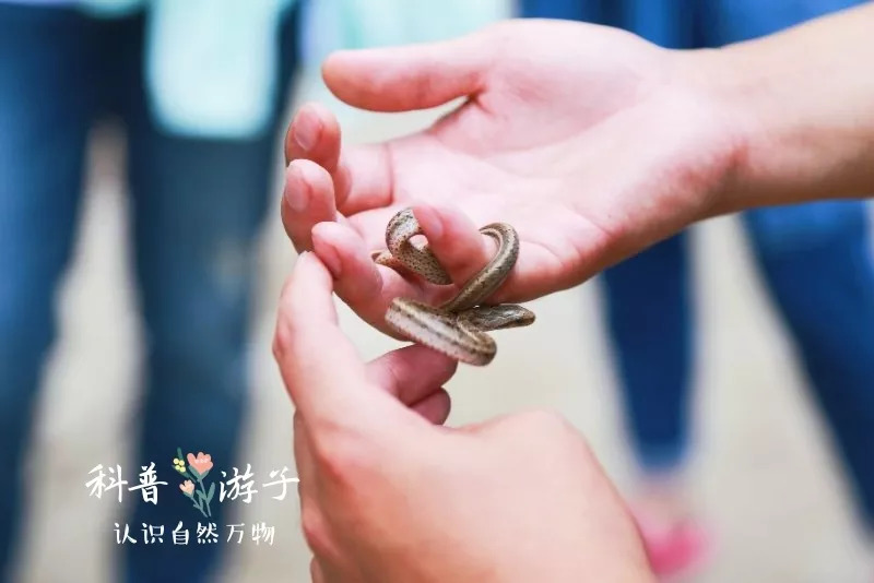 射蓬路西充段最新动态揭秘，自然美景探索之旅启程