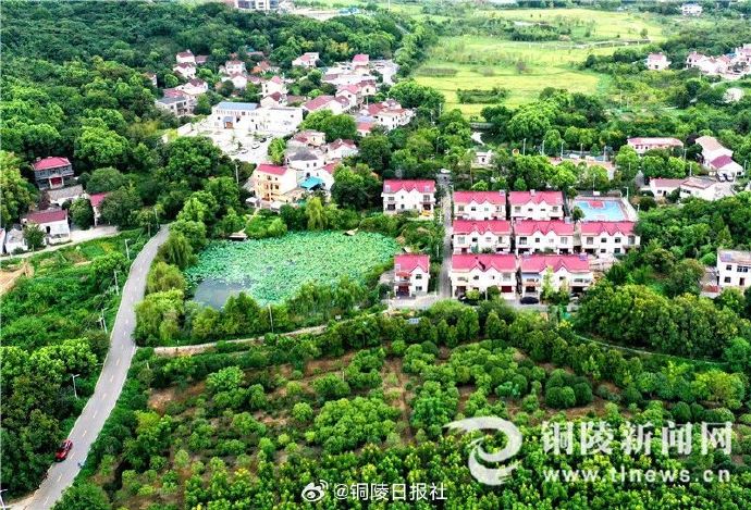 堰下张村最新动态，乡村振兴迈入新篇章