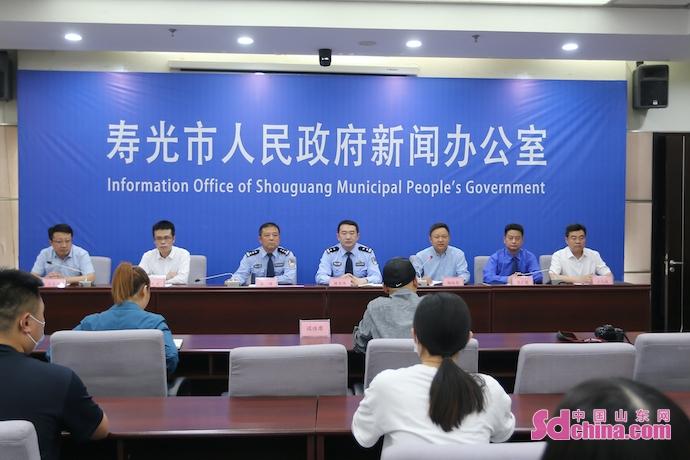 寿光市最新规划图详解，观点阐述与解析