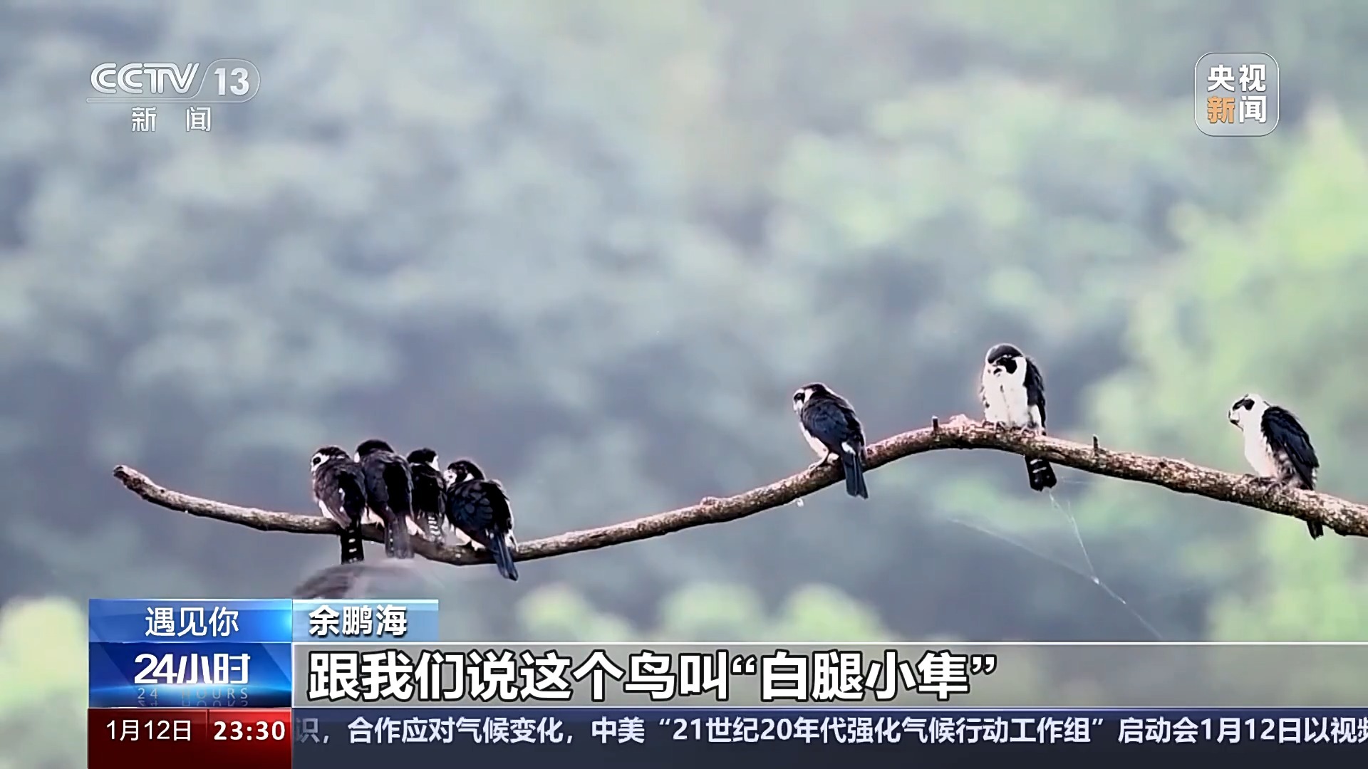 博全铝业 第2042页
