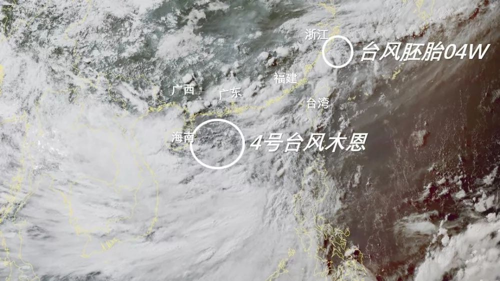 温州台风最新消息今日更新