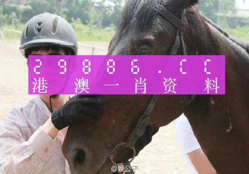 澳门一肖一码一l必开一肖,专业数据点明方法_户外版9.995