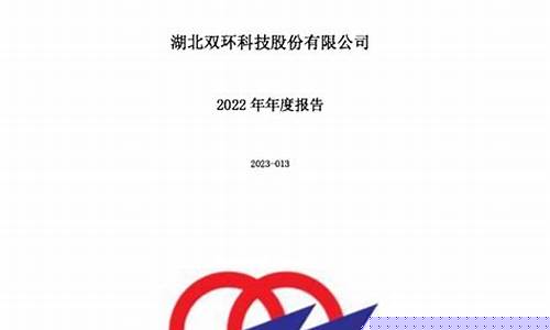 双环科技重组最新动态，深度分析与观点阐述