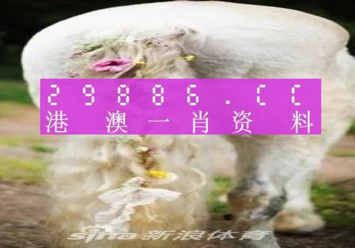 2024澳门必中一肖,设计规划引导方式_授权版31.239