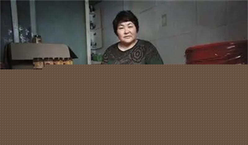 陶淑菊自残事件最新消息及深度分析与观点阐述