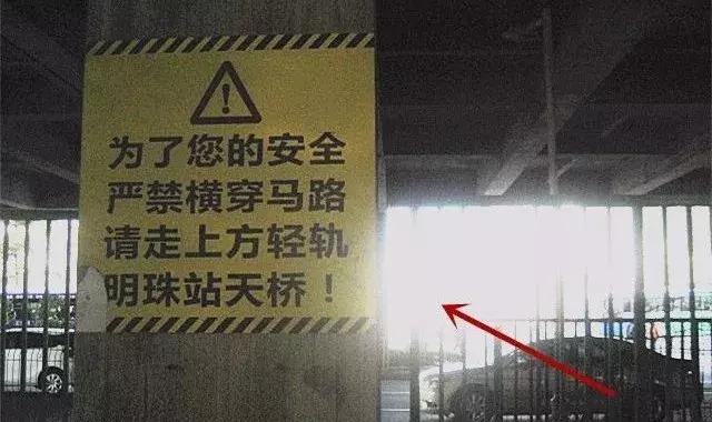 最新款玫瑰钻，闪耀明珠见证力量与自信成就