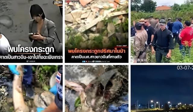 勒索病毒最新动态，小红书上的安全警告与数字世界的防护