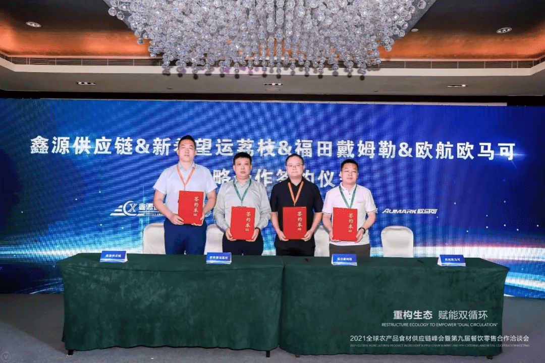科技潮流新标杆，最新卫衣引领未来生活方式体验
