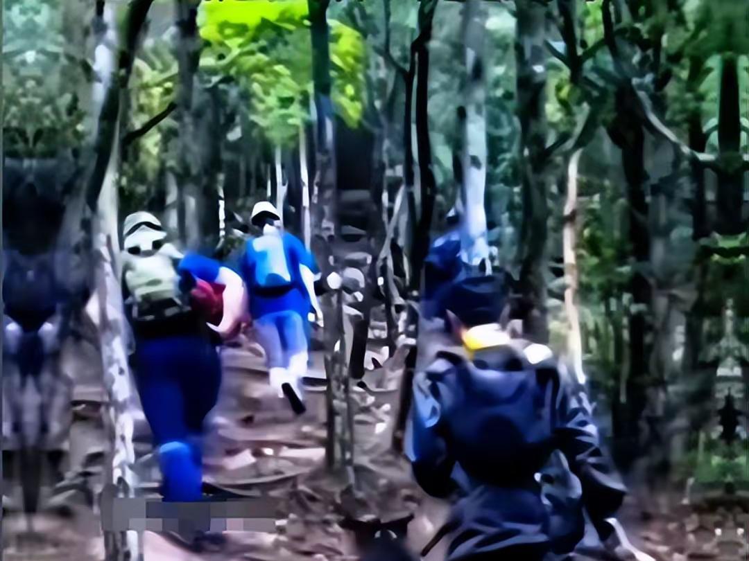 福建老师神秘失踪探寻自然美景之旅，追寻内心平静真相揭秘