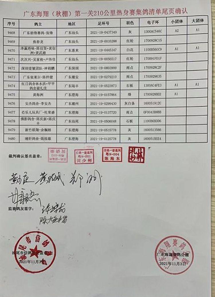 东山公棚现状与发展趋势探究，最新消息揭秘