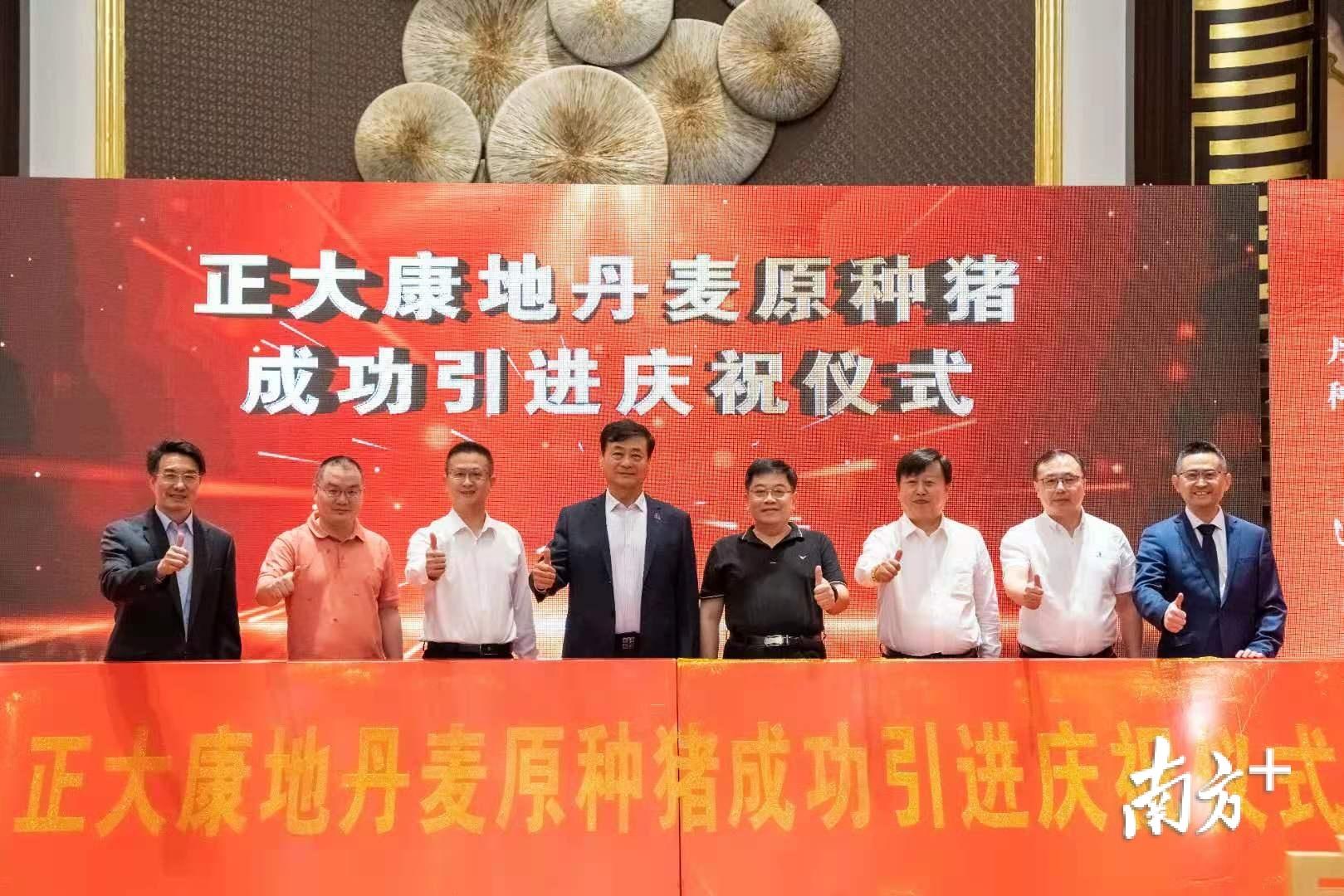 梅州市最新生猪价格与科技引领下的畜牧业新动向智能查询系统