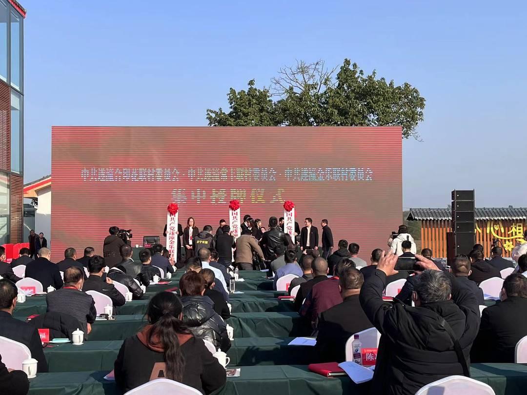重庆市潼南区最新规划揭晓，蓝图引领未来发展