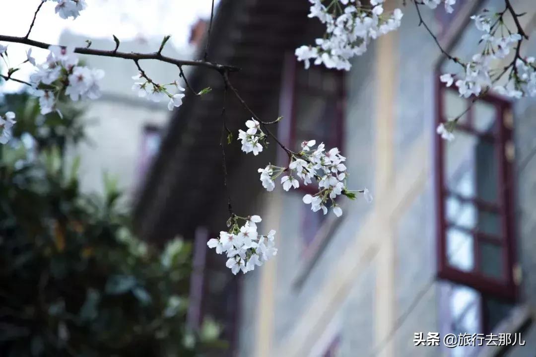武汉购房政策最新消息,武汉购房政策最新消息，科技重塑居住梦想，未来生活触手可及