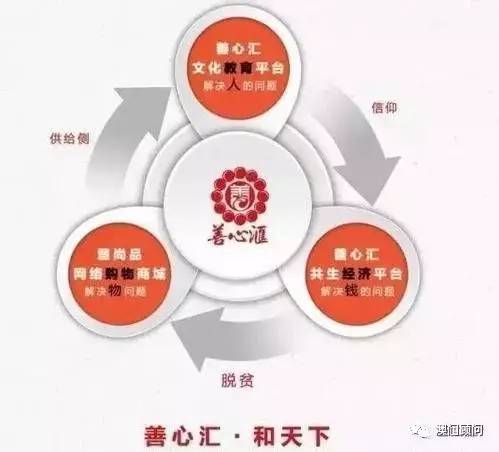 善心汇最新动态，学习变化，自信塑造未来