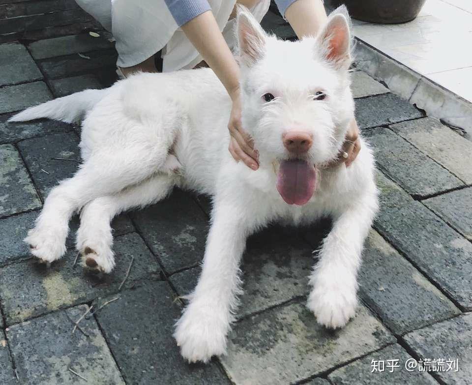 博全铝业 第24页
