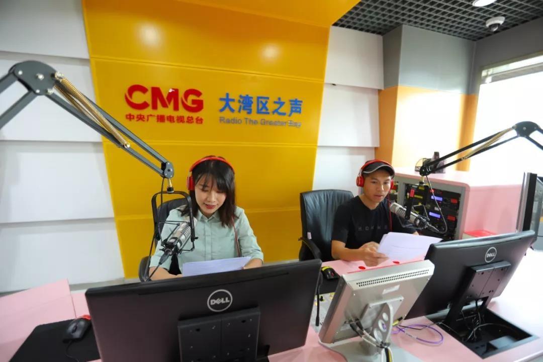 东莞房价走势最新动态，城市繁荣背后的地产风云揭秘