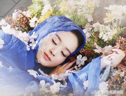 神雕销魂录最新章节观点论述解析