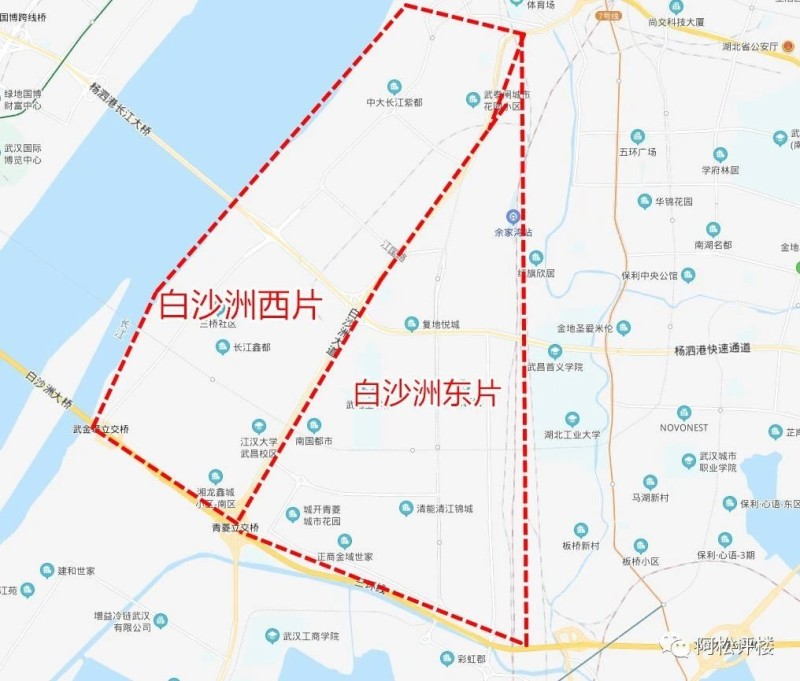 武汉白沙洲最新动态，新闻热点与相关观点探讨