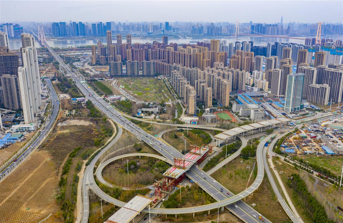 武汉白沙洲最新动态报道