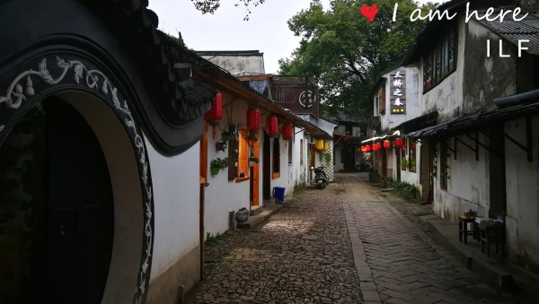 陈加民最新动态，小巷深处的独特风味探秘揭秘