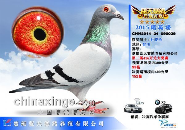 天立公棚最新公告2017,天立公棚最新公告2017，观点阐述与分析